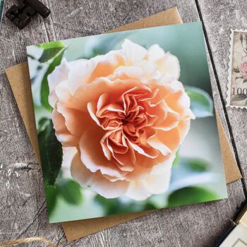 Carte florale rose orange 1