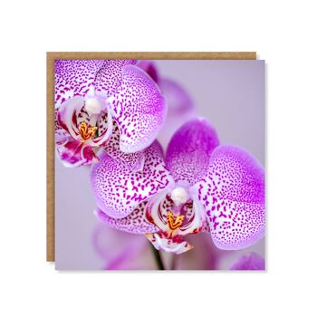 Carte d'orchidée florale 3