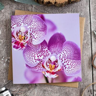 Carte d'orchidée florale