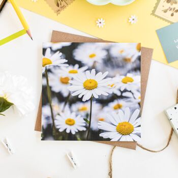 Carte Marguerites florales à oeil de bœuf 1