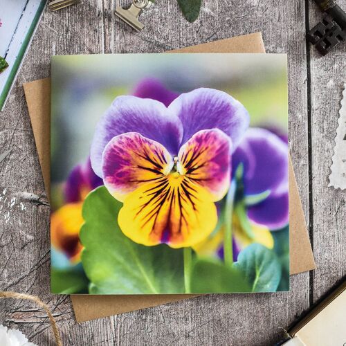 Floral Pansy Card