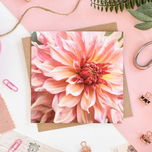 Floral Penhill Watermelon Dahlia Card