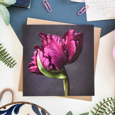 Tarjeta Floral Tulipán Loro Rosa