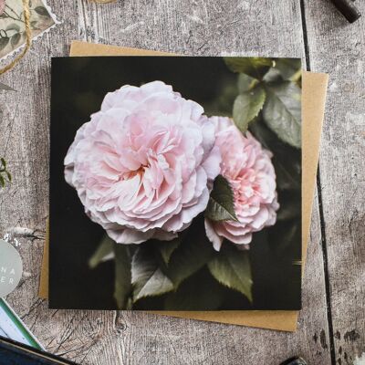 Carte florale rose rose