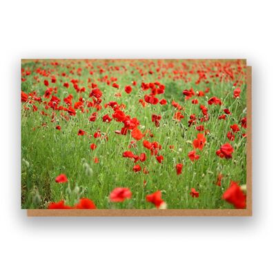 Floral Poppies Card