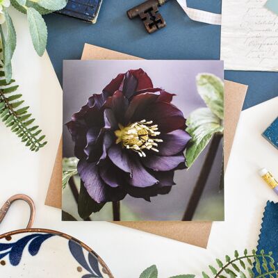 Floral Purple Hellebore Card