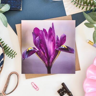 Tarjeta Floral Iris Púrpura