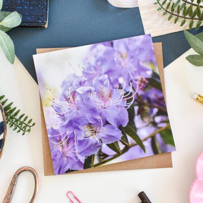 Carte florale de rhododendron