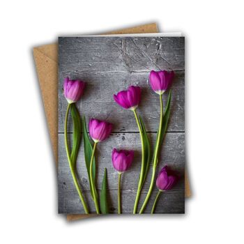 Lot de 8 cartes tulipes florales 4