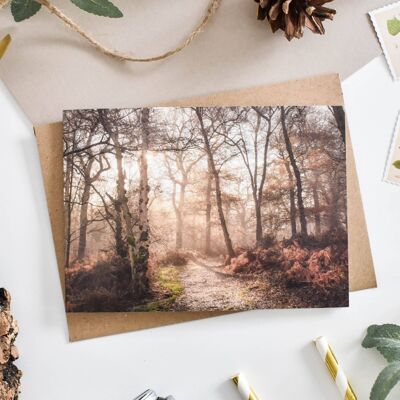 Sunlit Woodland Card