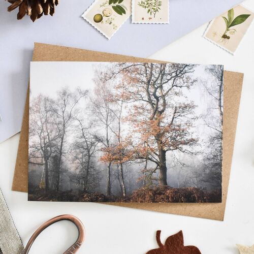 Winter Woodland Card
