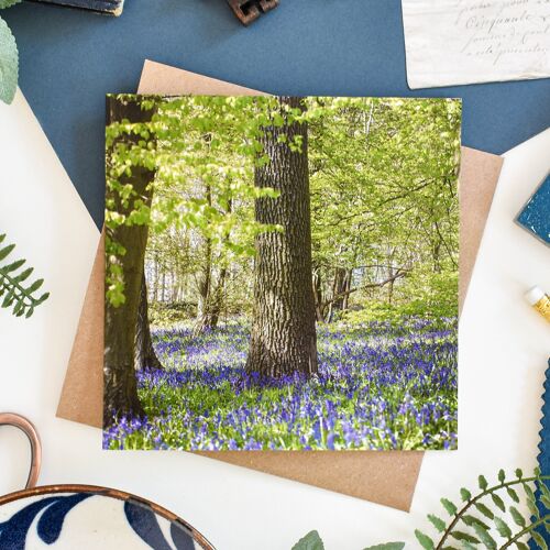 Woodland Bluebells Card