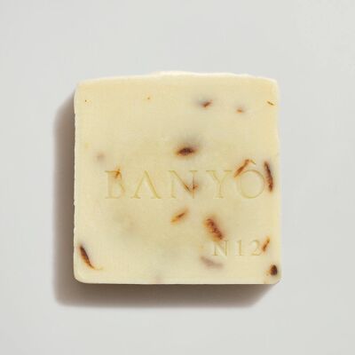 Coconut soap - without soap box