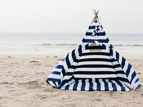 Tipi de plage tipinid