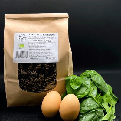 Spelled pasta with organic spinach – 500gr