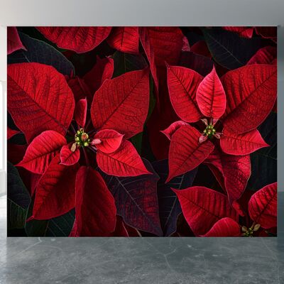 Weihnachtsstern Pflanzenblätter Wandbild Tapete Wandkunst abziehen und aufkleben, selbstklebendes Dekor, strukturierter großer Wandkunstdruck