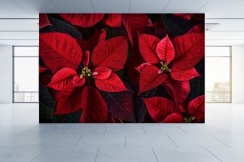 Poinsettia Plante Feuilles Murale Papier Peint Mur Art Peel & Stick Auto-Adhésif Décor Texturé Grand Mur Art Print 2