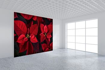 Poinsettia Plante Feuilles Murale Papier Peint Mur Art Peel & Stick Auto-Adhésif Décor Texturé Grand Mur Art Print 8