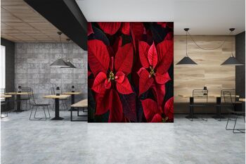 Poinsettia Plante Feuilles Murale Papier Peint Mur Art Peel & Stick Auto-Adhésif Décor Texturé Grand Mur Art Print 9