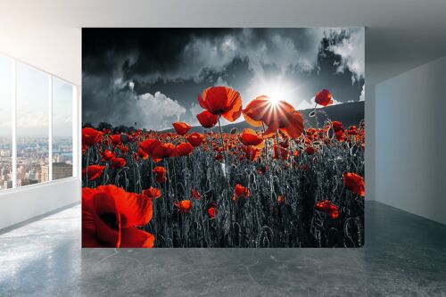 Red Poppies in the Field Wall Mural Wallpaper Wall Art Peel & Stick Self Adhesive Decor Textured Large Wall Art Print