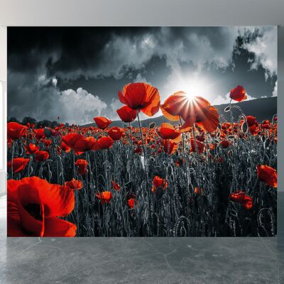 Red Poppies in the Field Wall Mural Wallpaper Wall Art Peel & Stick Self Adhesive Decor Textured Large Wall Art Print