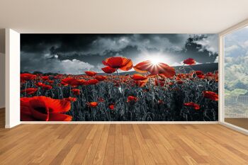 Coquelicots rouges dans le champ papier peint mural Art mural Peel & Stick décor auto-adhésif texturé grand mur Art Print 7