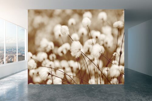 Blooming Cotton Grass Wall Mural Wallpaper Wall Art Peel & Stick Self Adhesive Decor Textured Large Wall Art Print