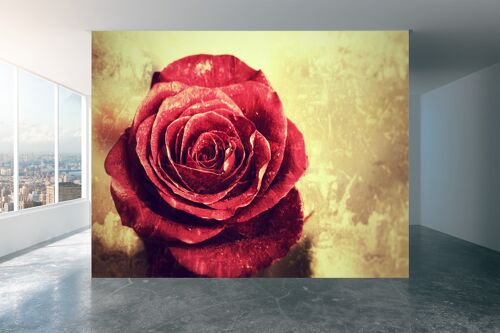Vintage Background with Red Rose Wall Mural Wallpaper Wall Art Peel & Stick Self Adhesive Decor Textured Large Wall Art Print