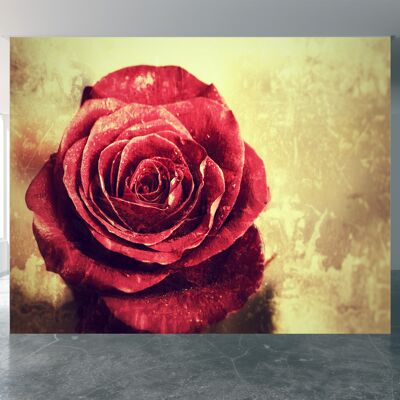 Vintage Background with Red Rose Wall Mural Wallpaper Wall Art Peel & Stick Self Adhesive Decor Textured Large Wall Art Print