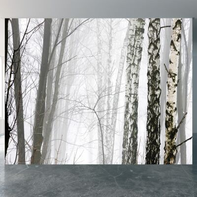 Foresta d'inverno nella nebbia di zecche Carta da parati Carta da parati Wall Art Peel & Stick Decorazione autoadesiva Tessuto grande stampa artistica da parete