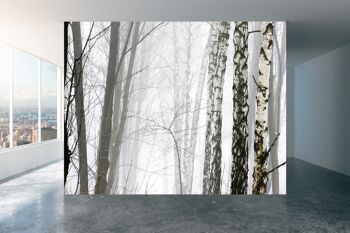 Forêt d'hiver dans le brouillard de tiques papier peint mural Art mural Peel & Stick décor auto-adhésif texturé grand mur Art Print 1