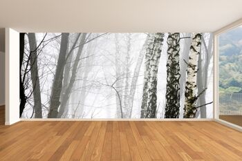 Forêt d'hiver dans le brouillard de tiques papier peint mural Art mural Peel & Stick décor auto-adhésif texturé grand mur Art Print 7