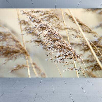 Close up on Reed Wall Mural Wallpaper Wall Art Peel & Stick Self Adhesive Decor Textured Large Wall Art Print