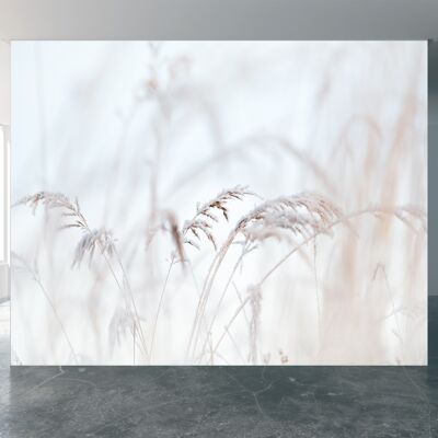 Frost Covered Grass Wall Mural Papier Peint Wall Art Peel & Stick Décor Auto-Adhésif Texturé Grand Mur Art Print