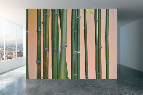 Group of Bamboo Grass Wall Mural Wallpaper Wall Art Peel & Stick Self Adhesive Decor Textured Large Wall Art Print