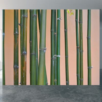 Group of Bamboo Grass Wall Mural Wallpaper Wall Art Peel & Stick Self Adhesive Decor Textured Large Wall Art Print