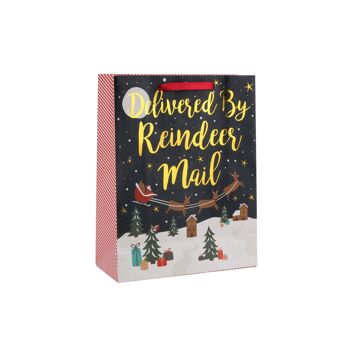 Livré par Reindeer Mail Grand sac cadeau