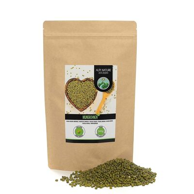 frijol mungo 500g