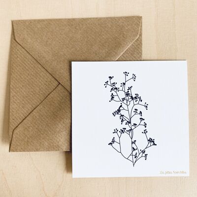 Correspondence card - Grasses Umbels