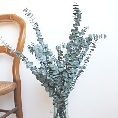 Bouquet di eucalipto essiccato verde - 65 cm