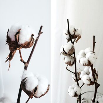 Cotton flowers 70cm 2