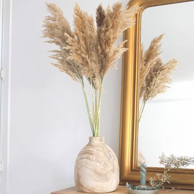Dried Pampa - 5 stems of 60cm