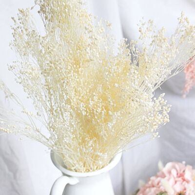 Bouquet of Dried Flowers - Broom bloom 50cm