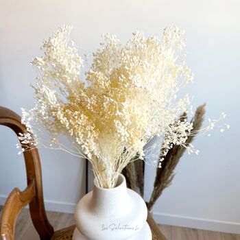 Bouquet de Fleurs Séchées - Broom bloom 50cm 4