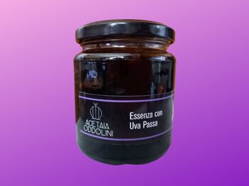 Essenza con Uvetta 1 kg (prodotto sfuso per ristorante, pizzeria, bistrot) 1