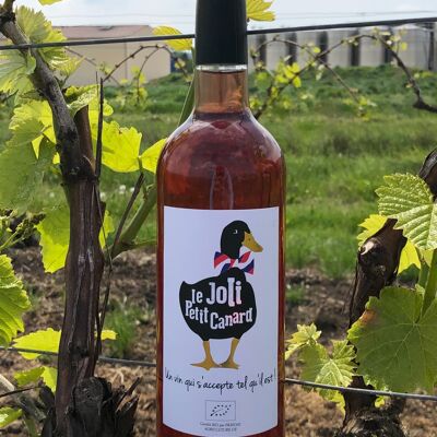 Le Joli Petit Canard Rosé - BIO