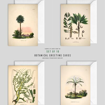 Set of 10 Botanical Greeting Cards