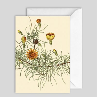 Greeting Card 7415