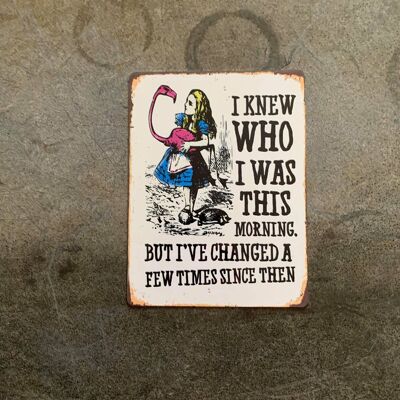 Alice in wonderland i've changed - Metal Sign 16x24inch