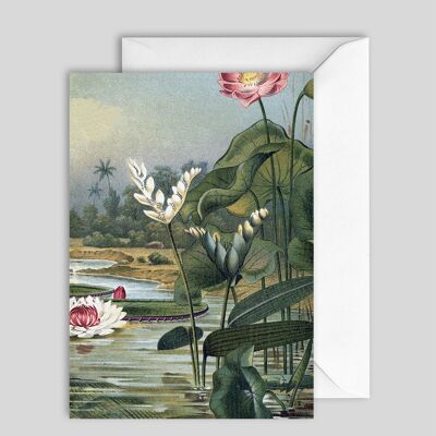 Greeting Card 7448